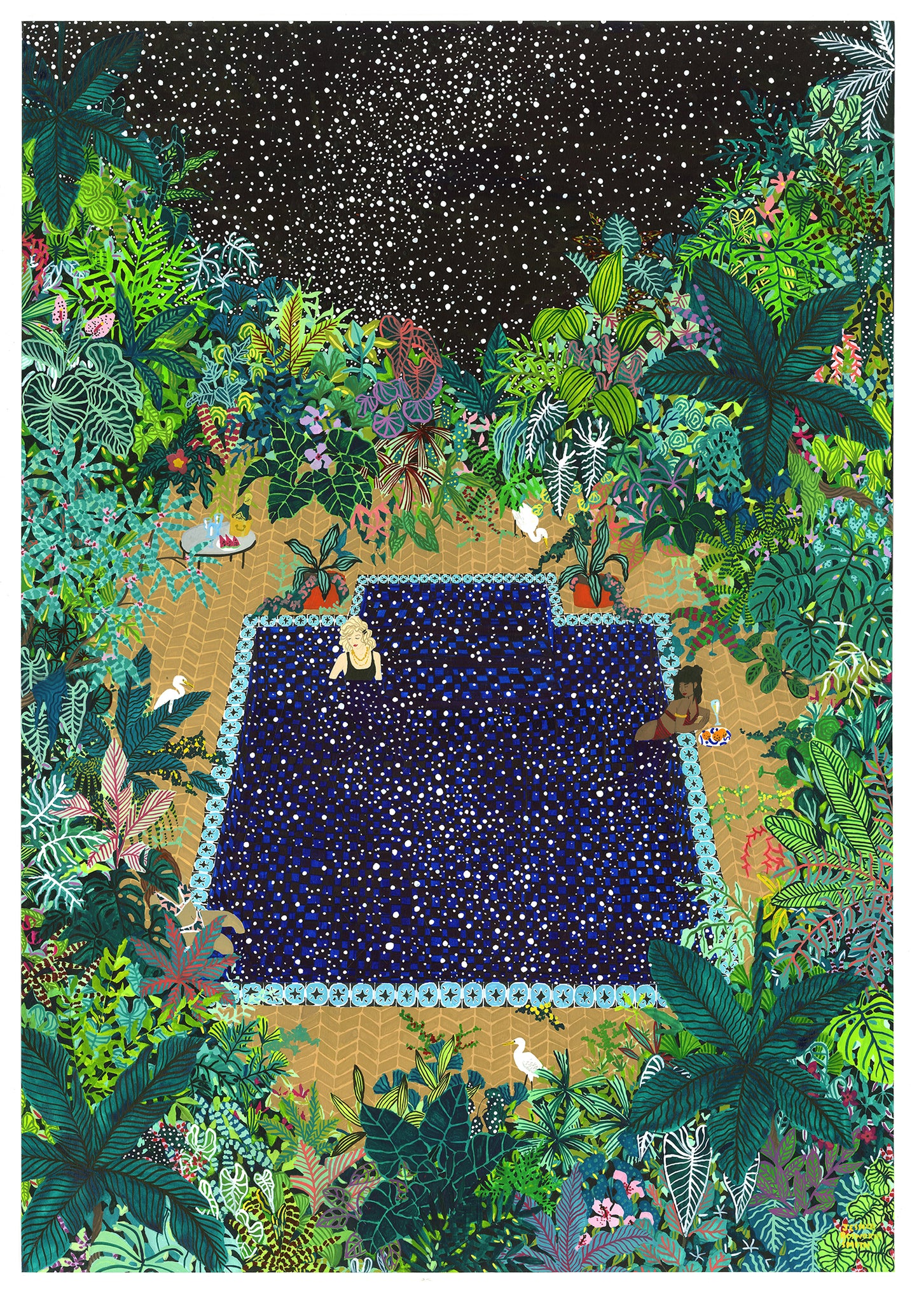 The Night Swimmers, 2021