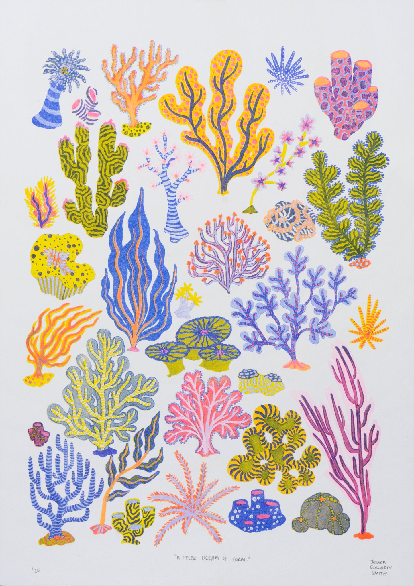 A Fever Dream of Coral, 2022