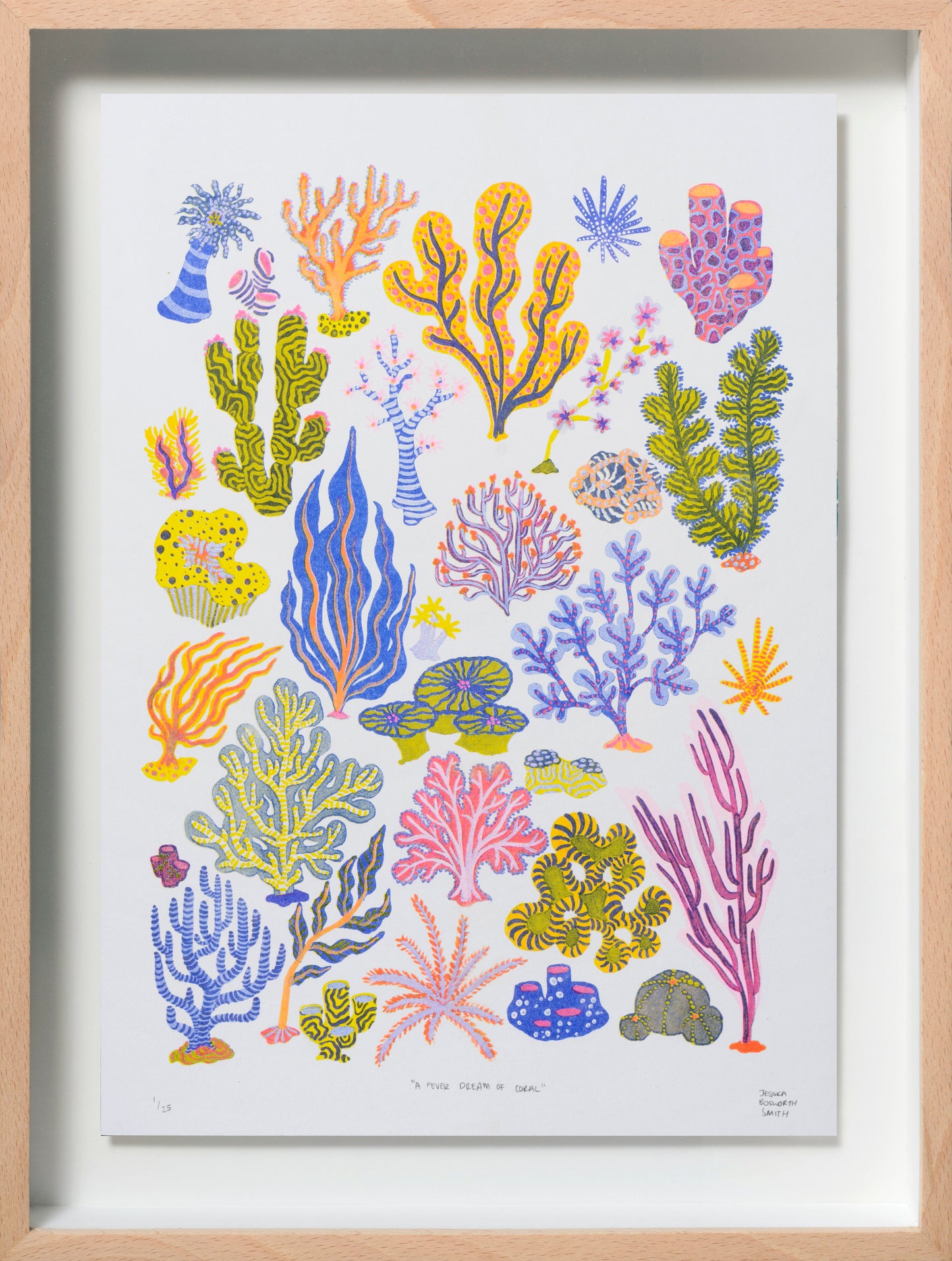 A Fever Dream of Coral, 2022