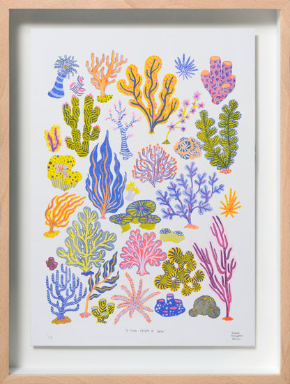 A Fever Dream of Coral, 2022