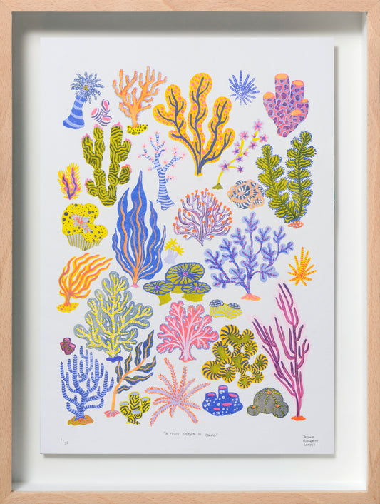 A Fever Dream of Coral, 2022